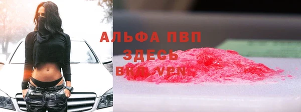 винт Вяземский