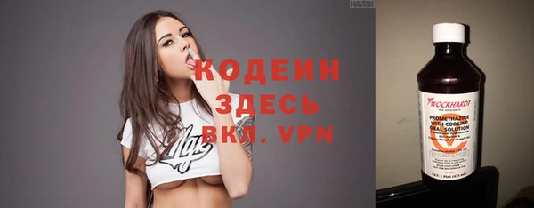 винт Вяземский