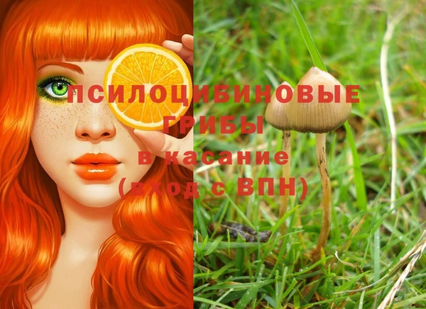 прущая мука Вязьма