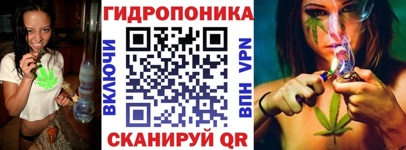 Канабис OG Kush  где можно купить   Городище 